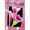 thumbnail image 1 of Serenity They Seek, (Paperback), 1 of 1