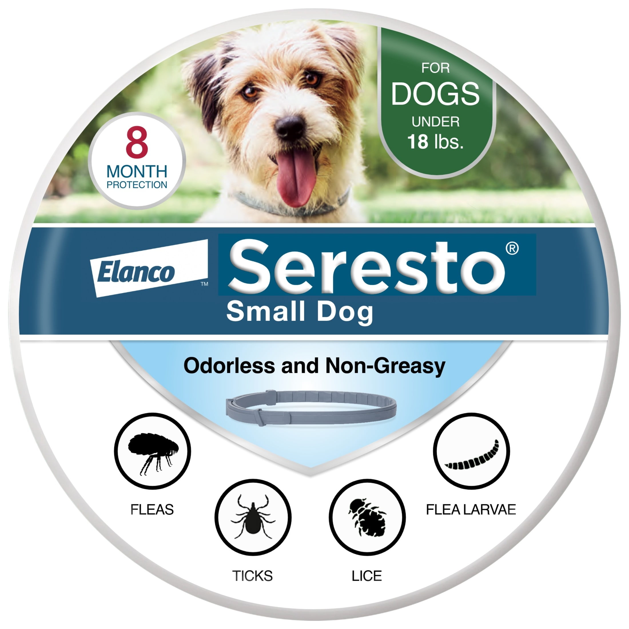 Flea collar for puppies clearance walmart