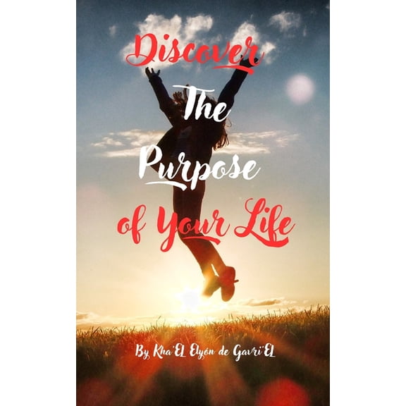 Series: Reprogram Your Mind for Success: Discover the Purpose of Your Life : Series: Reprogram Your Mind For Success (Paperback)
