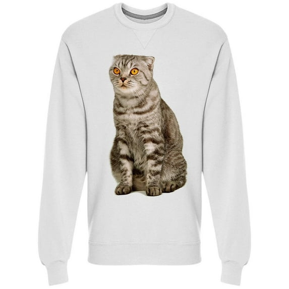 Serious Cat Looking Up Sweatshirt Men -Image by Shutterstock Men Sweatshirt, Male Small