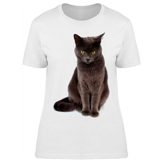 Serious Dark Gray Cat T-Shirt Women -Image by Shutterstock, Female 3X-Large