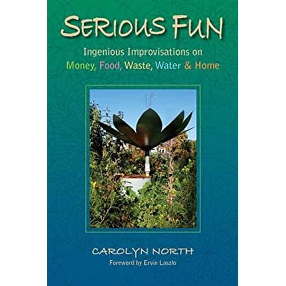 Pre-Owned Serious Fun: Ingenious Improvisations on Money, Food, Waste, Water & Home (Paperback) 1844095401 9781844095407