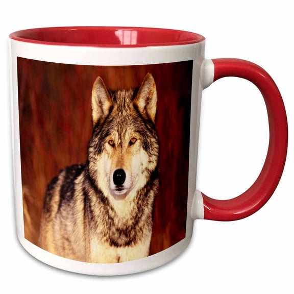 3drose, Serious Pose of Brown Wolf, 11oz Two-tone Red Mug