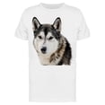thumbnail image 1 of Serious Siberian Husky Tee Men's -Image by Shutterstock Men's T-shirt, 1 of 2