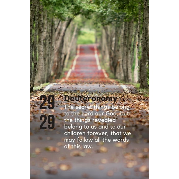 Sermon Note (Paperback)