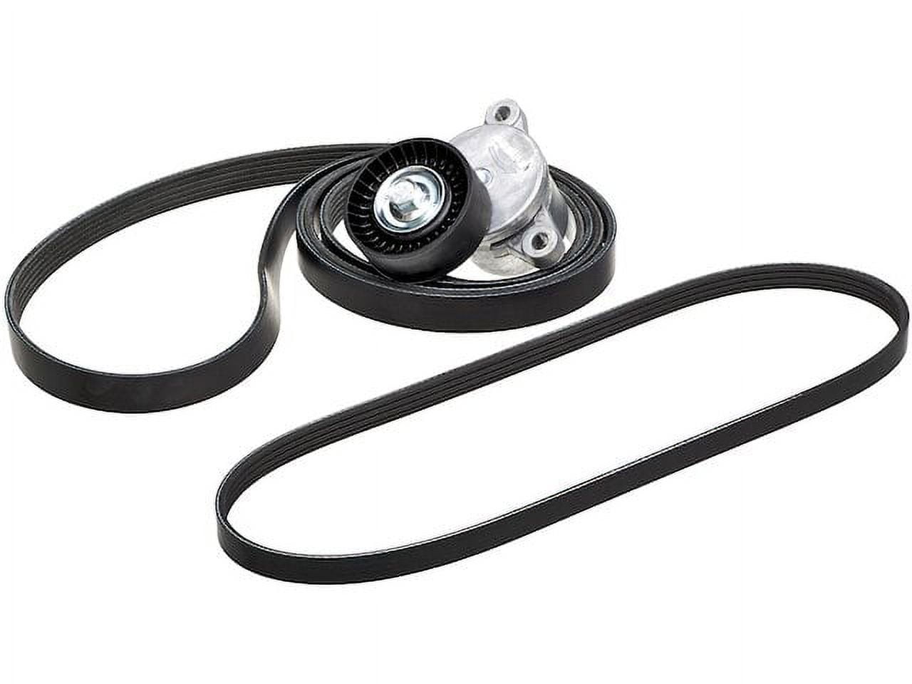 Dayco Serpentine Belt Main Drive For 2011-2023 Ford F-150 5L V8