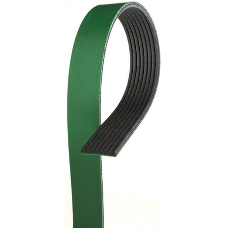 Serpentine Belt