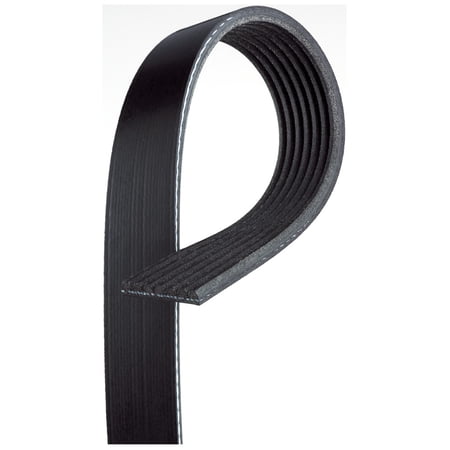 Serpentine Belt