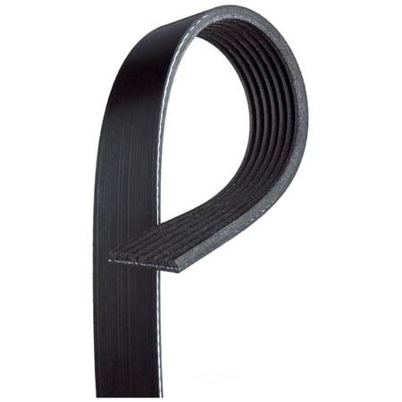 Serpentine Belt