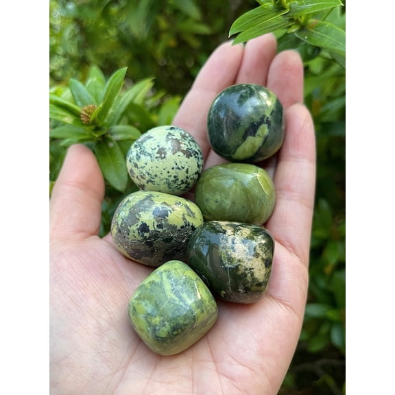 Serpentine Tumbled Stones, Polished Serpentine Gemstone, Serpentine Healing Crystals (Serpentine, 1 Pound)