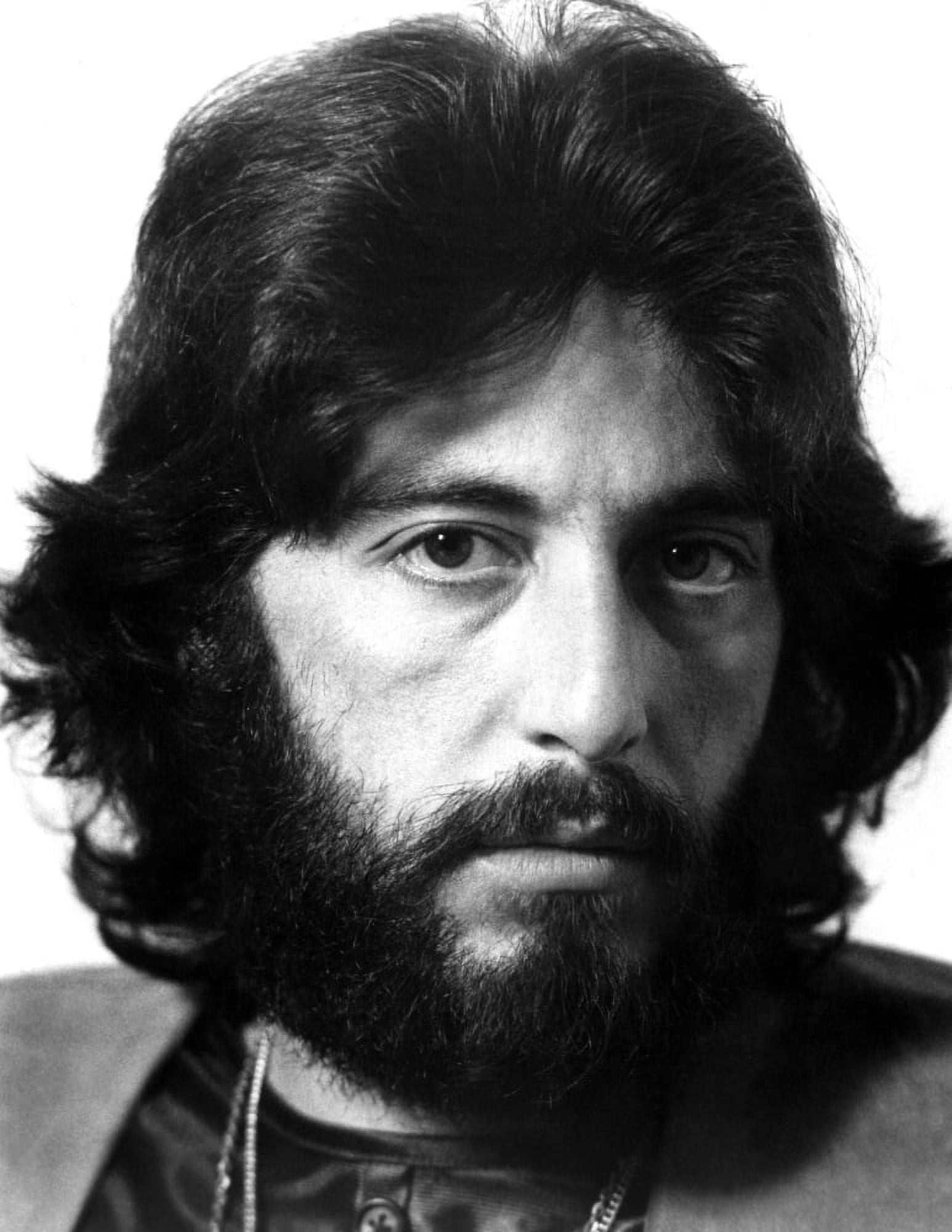 Serpico Canvas Art - (16 x 20)