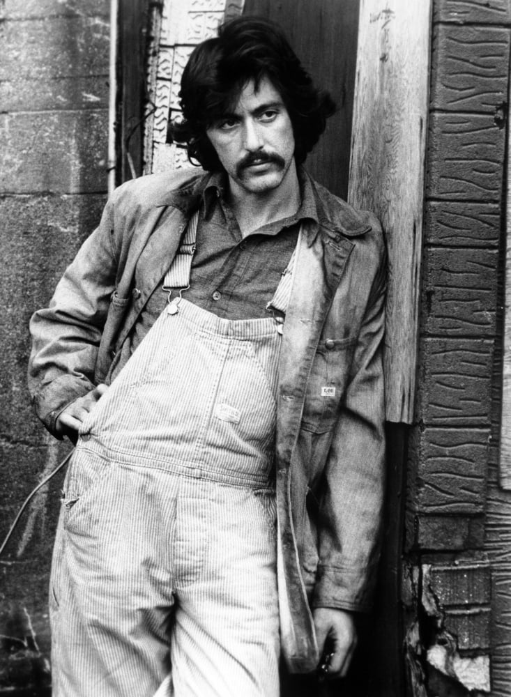 Serpico Canvas Art -  (16 x 20)