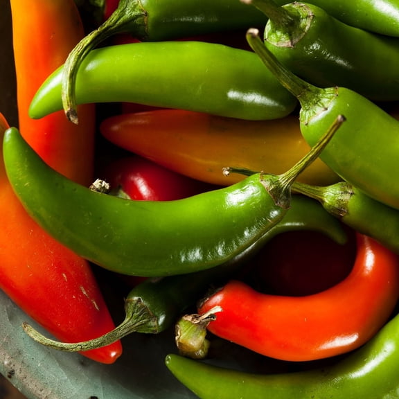 Serrano Hot Pepper Plants, 2 Live Plants in 4 in Pots, Non-GMO, 20K SHU