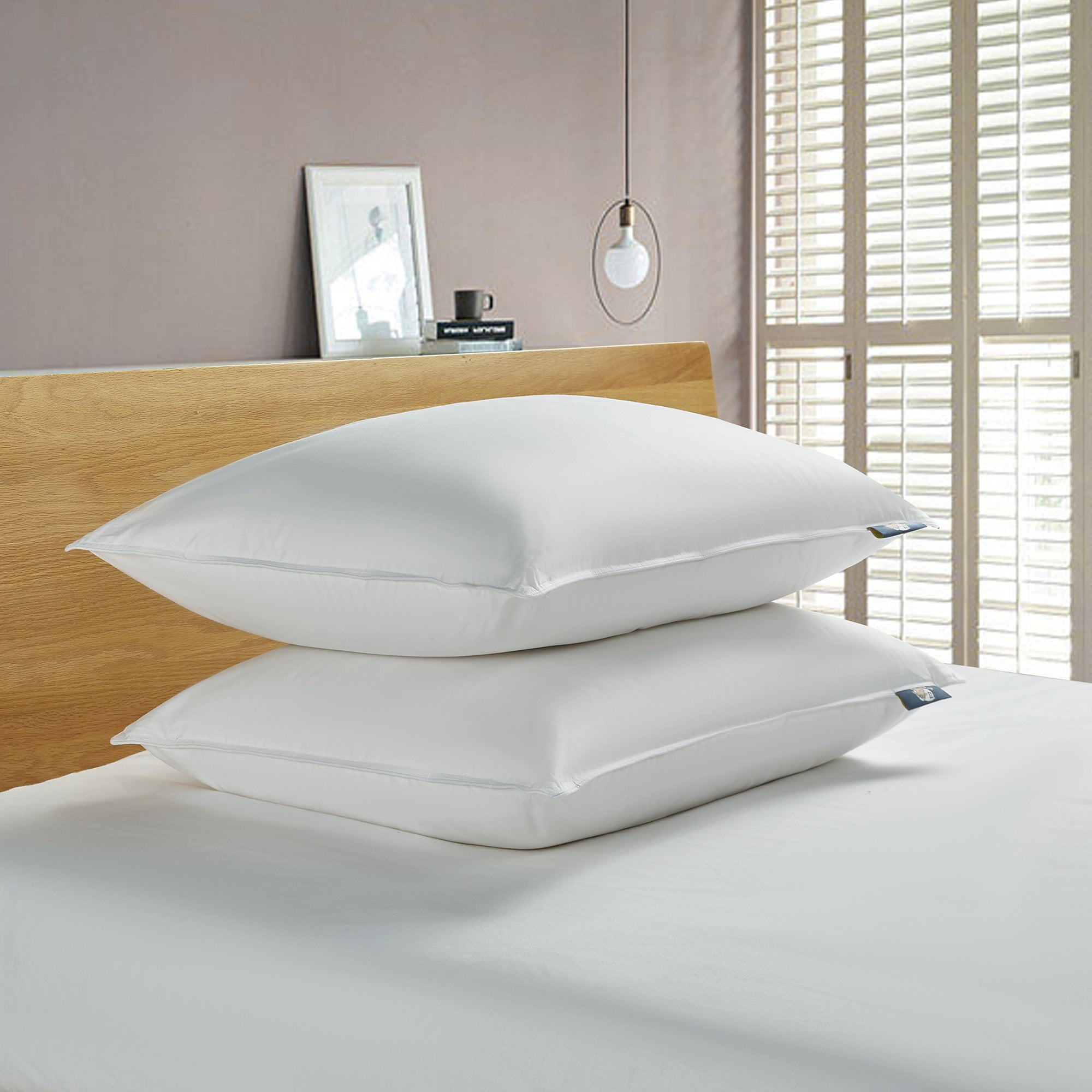 Serta White Goose Feather and Down Pillow for Back Liberia Ubuy