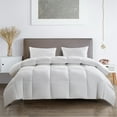 thumbnail image 1 of Serta 233 Thread Count White Goose Feather And White Goose Down Fiber Comforter-Light Warmth, Full/Queen, 1 of 8