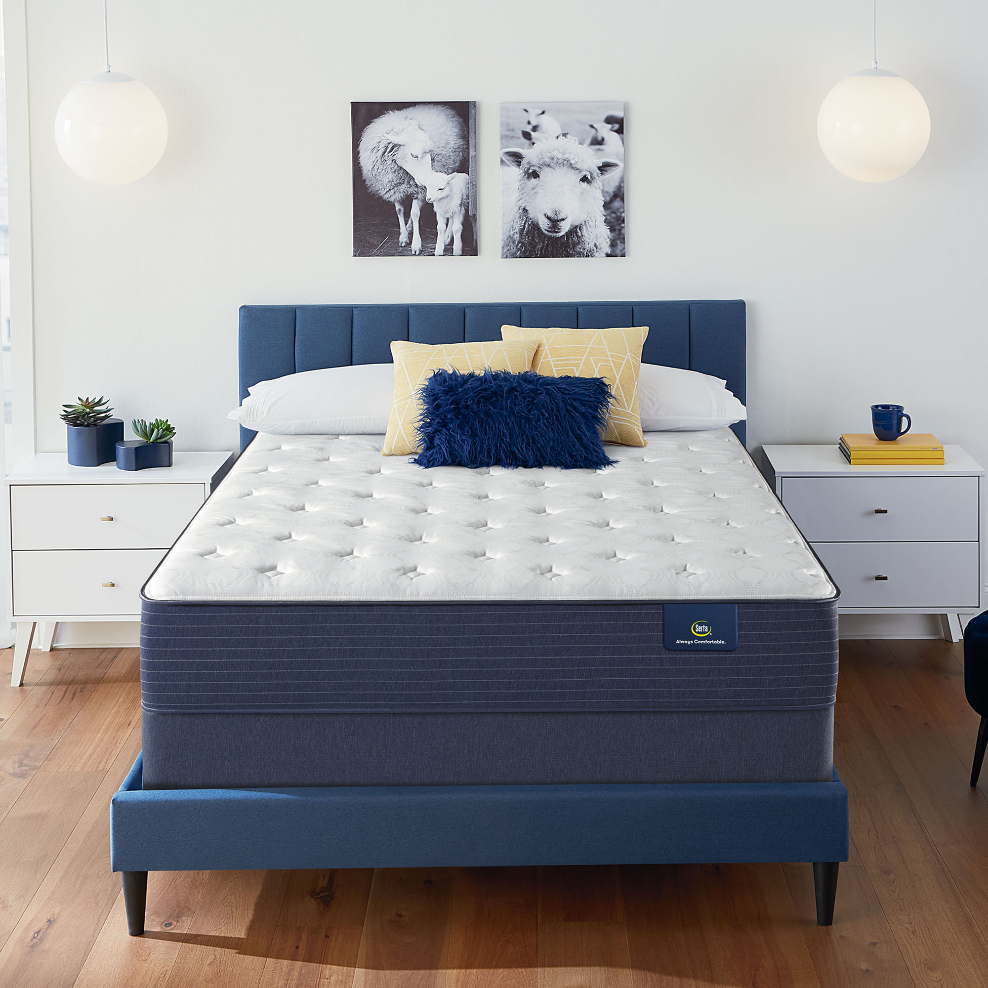Serta Sycamore 8" Futon Mattress, Multiple Sizes and Colors
