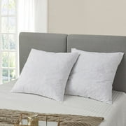 Serta Feather Euro Square Pillow