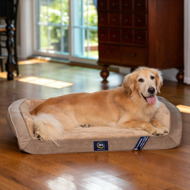 Serta Gel Memory Foam Orthopedic Couch Pet Bed, Brown
