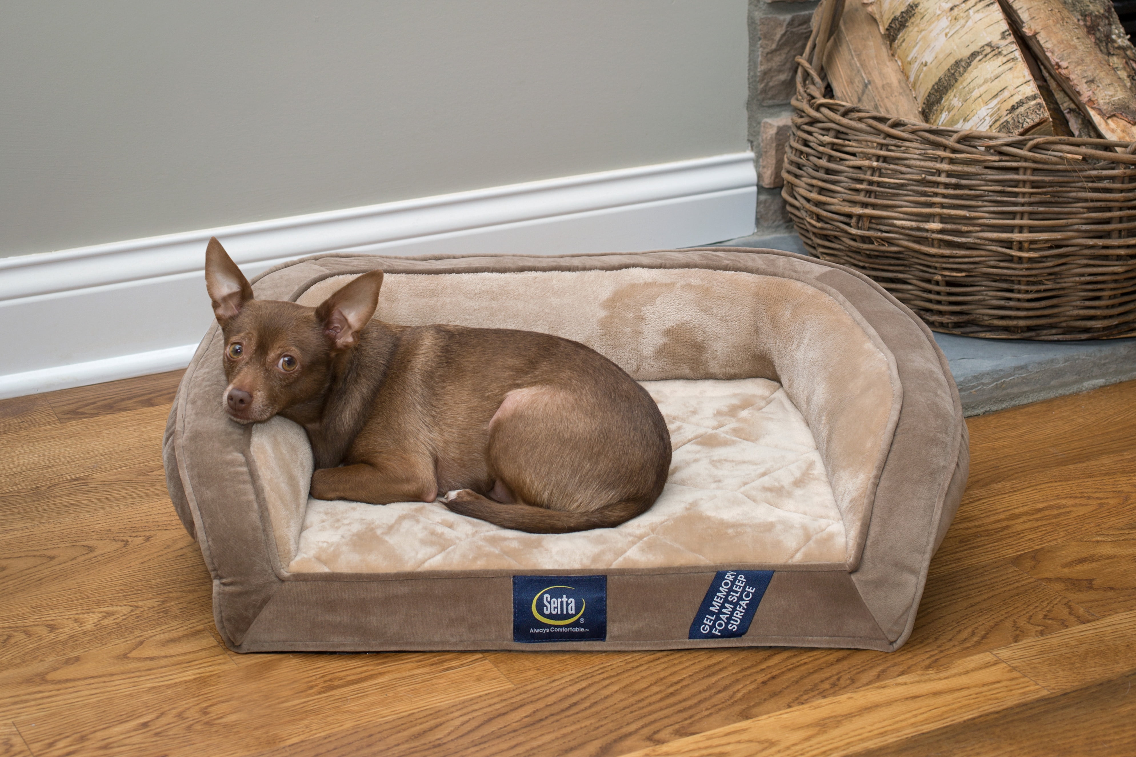Gel memory foam dog bed 2025