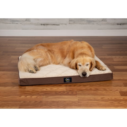 Serta, Large, Ortho Quilted Pillowtop Pet Bed
