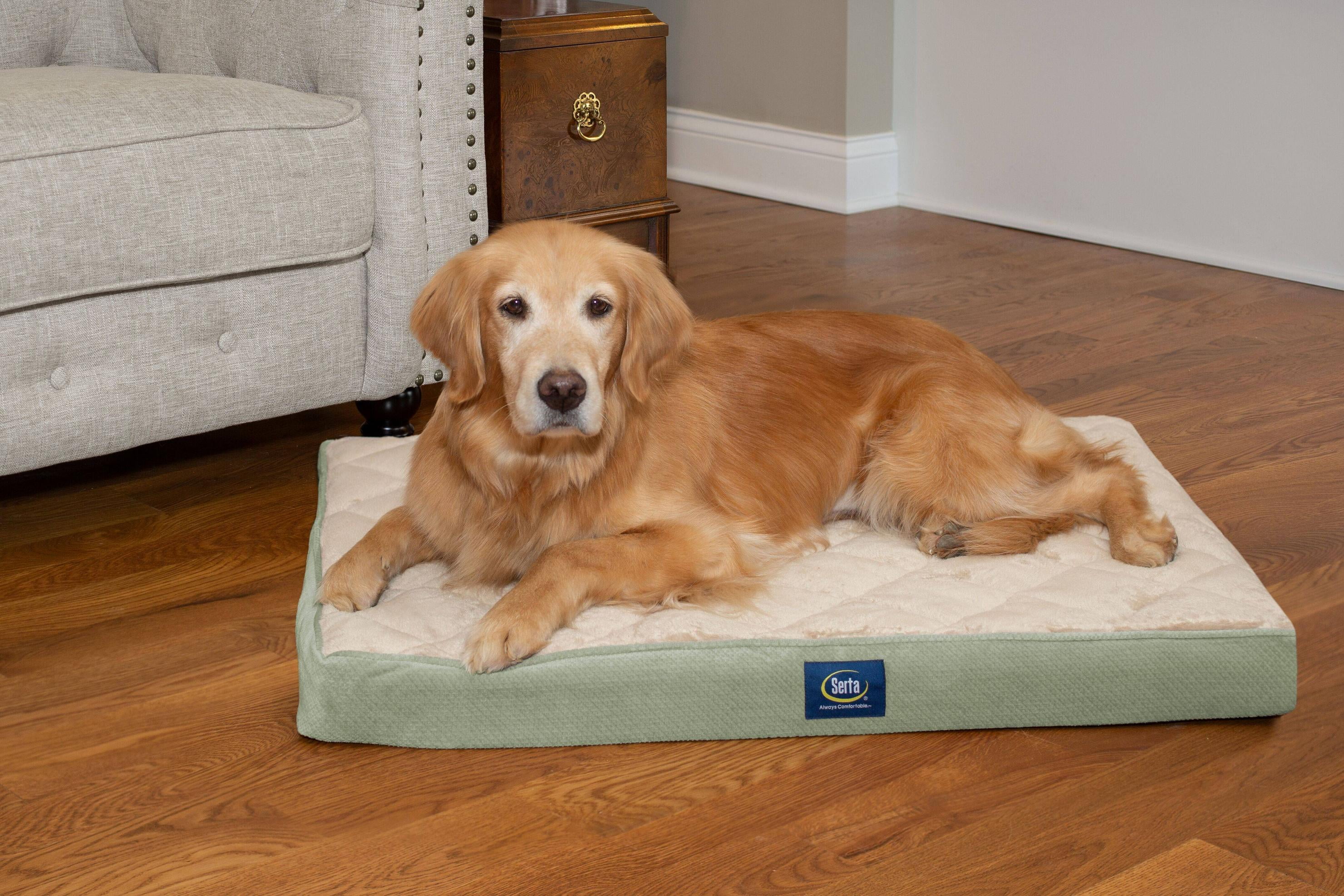 Serta Ortho Quilted Pillow Top Large Pet Bed, Sage, 36"L