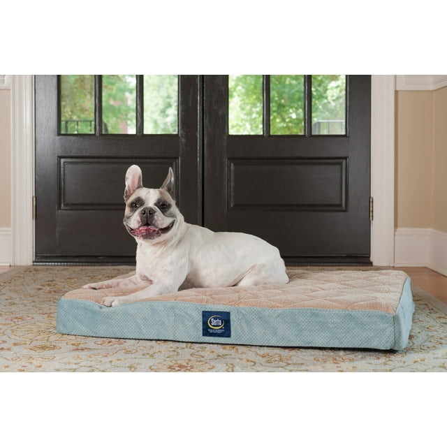 Serta Ortho Quilted Pillow Top Pet Dog Bed, Large Blue