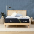 Serta F30LTX 14.25" Memory Foam Plush Mattress California