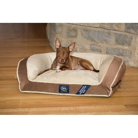 SertaPedic Memory Foam Mini Couch Dog Bed in Brown, Small