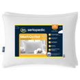 Sertapedic Won't Go Flat Bed Pillow, Standard/Queen, 2 Pack