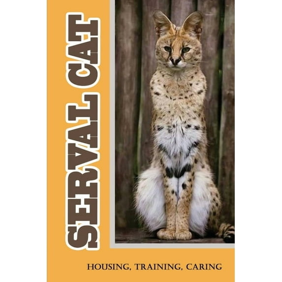 Serval Cat: Housing, Training, Caring: Care Guide For Serval Cat (Paperback)