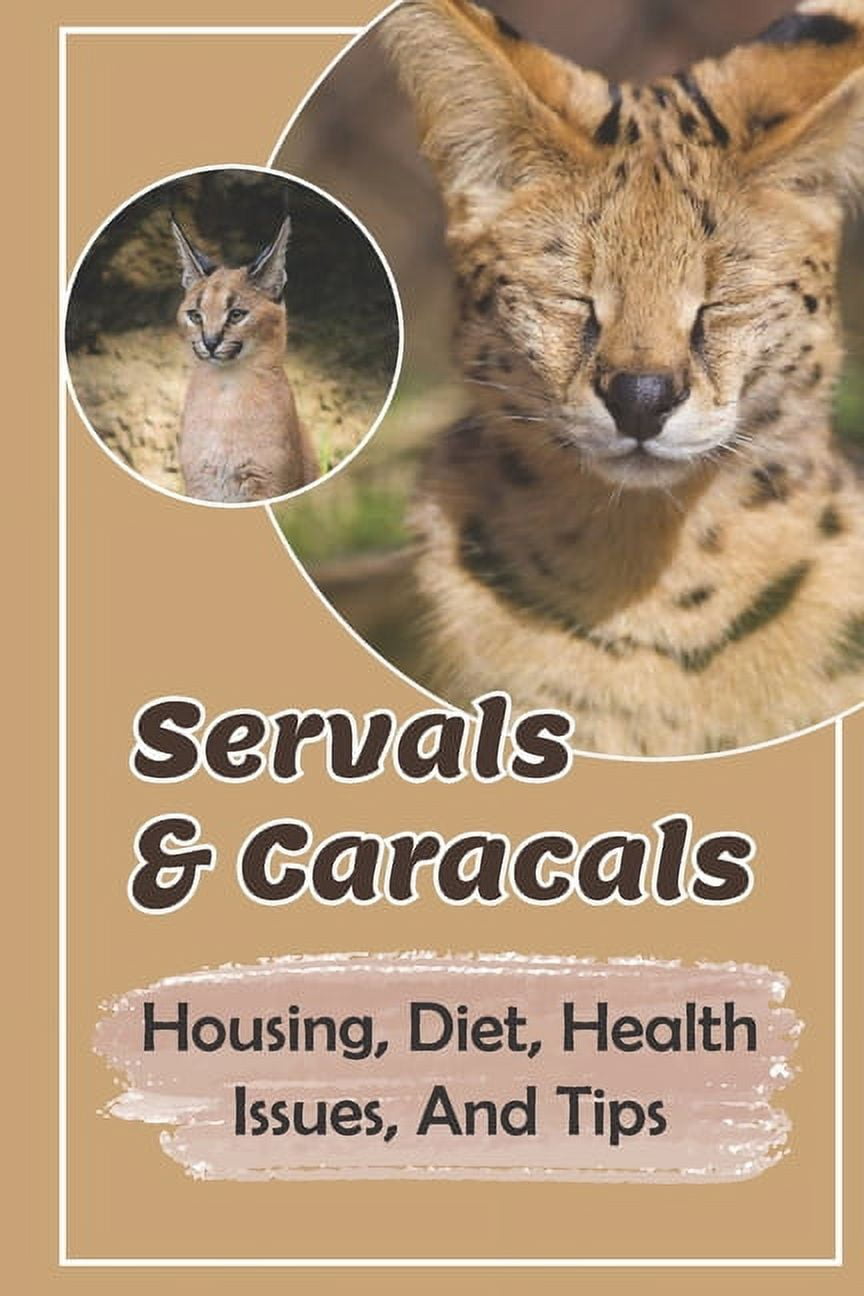 영문도서) Serval Cat: Housing Training Caring: Care Guide For Serval Cat  Paperback, Independently Published, English, 9798542793115 - 가격 변동 추적 그래프 -  역대가