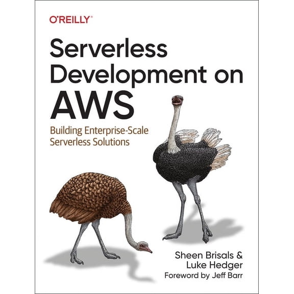 Serverless Development on AWS: Building Enterprise-Scale Serverless Solutions (Paperback)