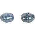 thumbnail image 1 of Servette Home Beach Scene Gray Salt and Pepper Shaker Novelty Kitchen Décor- Sand Dollars, 1 of 5