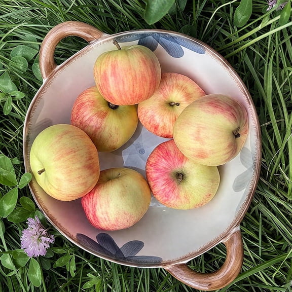 Serving Bowl 59oz Large Ceramic Soup Bowl with Handles Decorative Cereal Pasta Bowl for Salad and Ramen, Oven Dishwasher Safe Stoneware