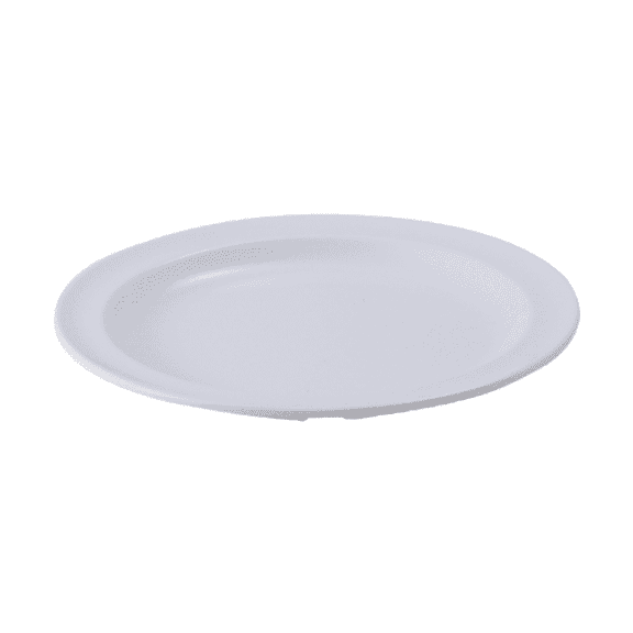Serving Plate pk 2 dz
