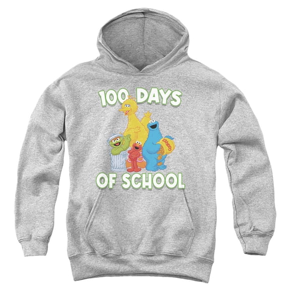 Sesame Street 100 Days of School Youth Kids Boy/Girls Pull-Over Hoodie, Athletic Heather, Medium