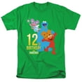 thumbnail image 1 of Sesame Street 12Th Birthday Unisex Adult T Shirt For Men And Women, 1 of 5