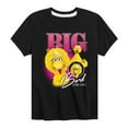 thumbnail image 1 of Sesame Street - Big Bird Collage - Toddler and Youth Short Sleeve Graphic T-Shirt, 1 of 5