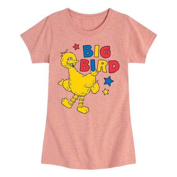 Sesame Street - Big Bird Color Block - Girls Fitted Short Sleeve Graphic T-Shirt