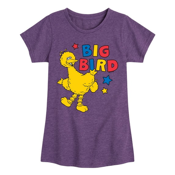 Sesame Street - Big Bird Color Block - Girls Fitted Short Sleeve Graphic T-Shirt
