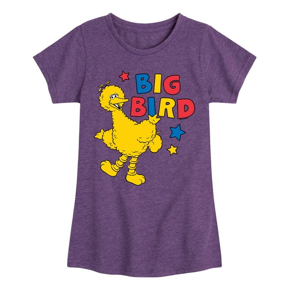 Sesame Street - Big Bird Color Block - Girls Fitted Short Sleeve Graphic T-Shirt