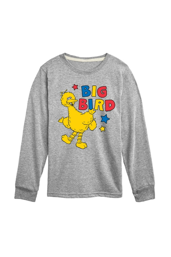 - Big Bird Color Block - Toddler and Youth Long Sleeve T-Shirt