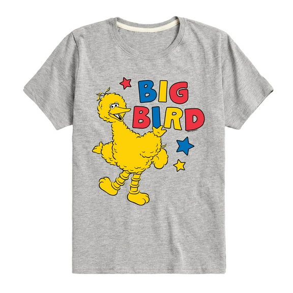 Sesame Street - Big Bird Color Block - Toddler and Youth Short Sleeve Graphic T-Shirt