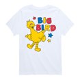 thumbnail image 1 of Sesame Street - Big Bird Color Block - Toddler and Youth Short Sleeve Graphic T-Shirt, 1 of 5