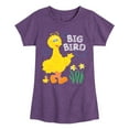 thumbnail image 1 of Sesame Street - Big Bird Daffodils - Girls Fitted Short Sleeve Graphic T-Shirt, 1 of 4