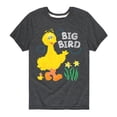 thumbnail image 1 of Sesame Street - Big Bird Daffodils - Toddler and Youth Short Sleeve Graphic T-Shirt, 1 of 5