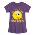 thumbnail image 1 of Sesame Street - Big Bird Face - Girls Fitted Short Sleeve Graphic T-Shirt, 1 of 4