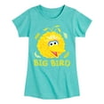thumbnail image 1 of Sesame Street - Big Bird Face - Girls Fitted Short Sleeve Graphic T-Shirt, 1 of 4