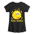 thumbnail image 1 of Sesame Street - Big Bird Face - Toddler Girls Short Sleeve Graphic T-Shirt, 1 of 4
