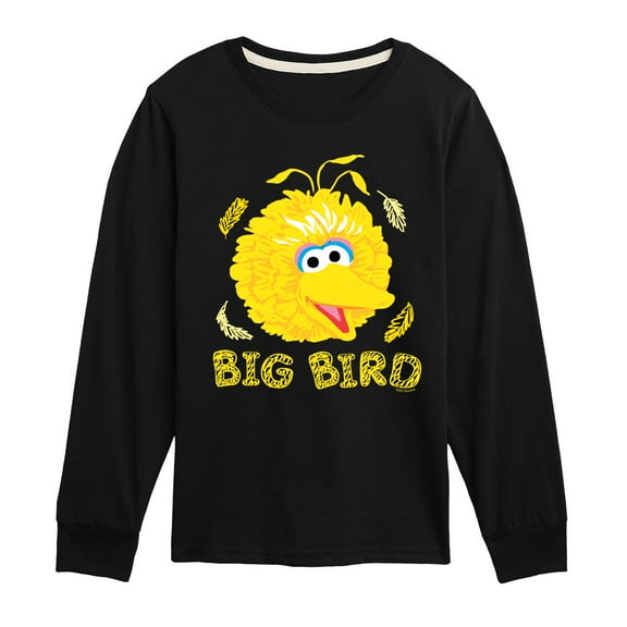 Sesame Street - Big Bird Face - Toddler and Youth Long Sleeve T-Shirt